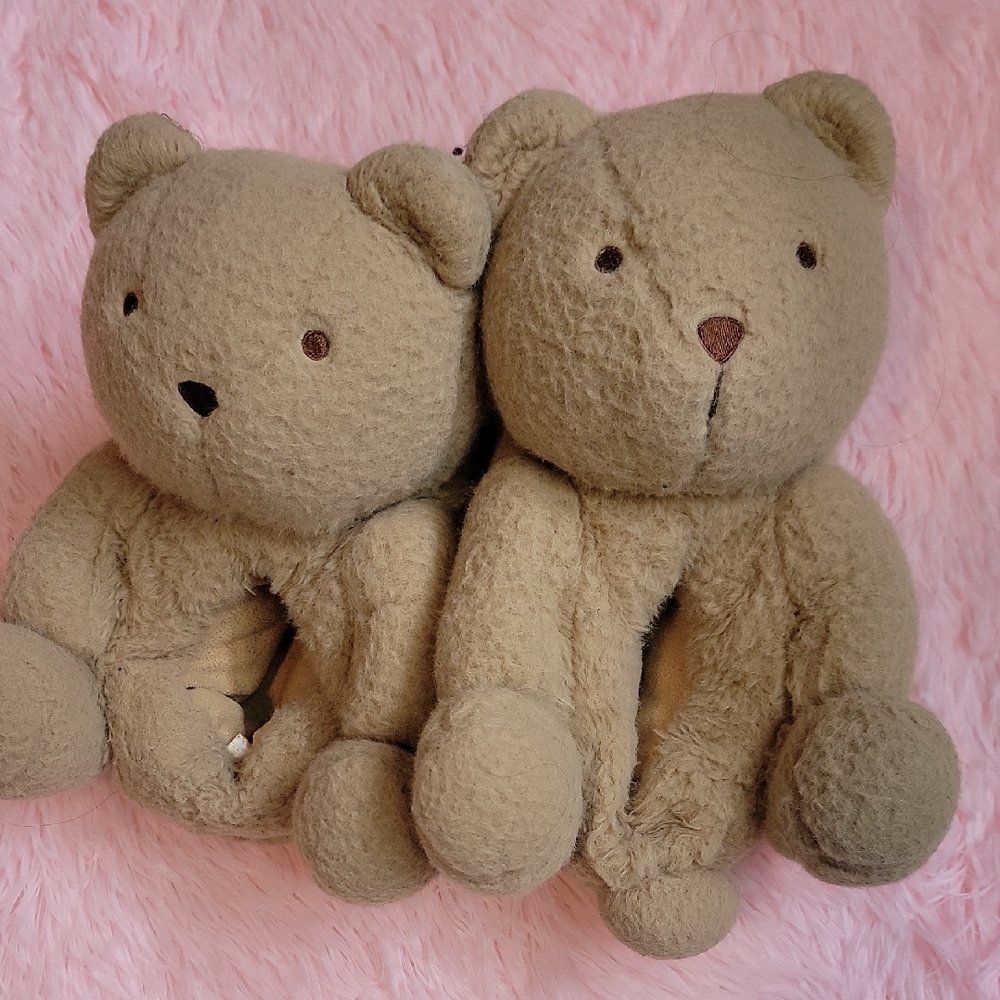 Gap teddy bear slippers